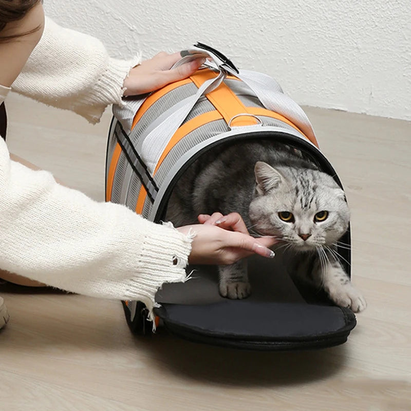 Pet Carrying Bag